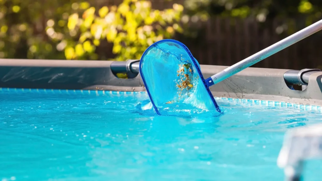 Top Pool Cleaning Companies Near Me